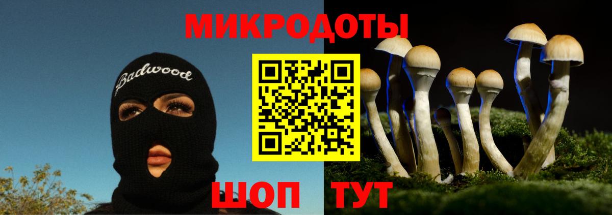 Будённовск  Галлюциногенные грибы GOLDEN TEACHER  как найти закладки  Вход с VPN 